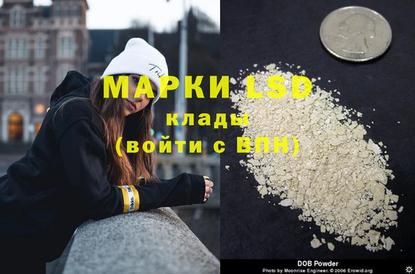 apvp Верея