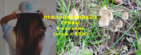 apvp Верея